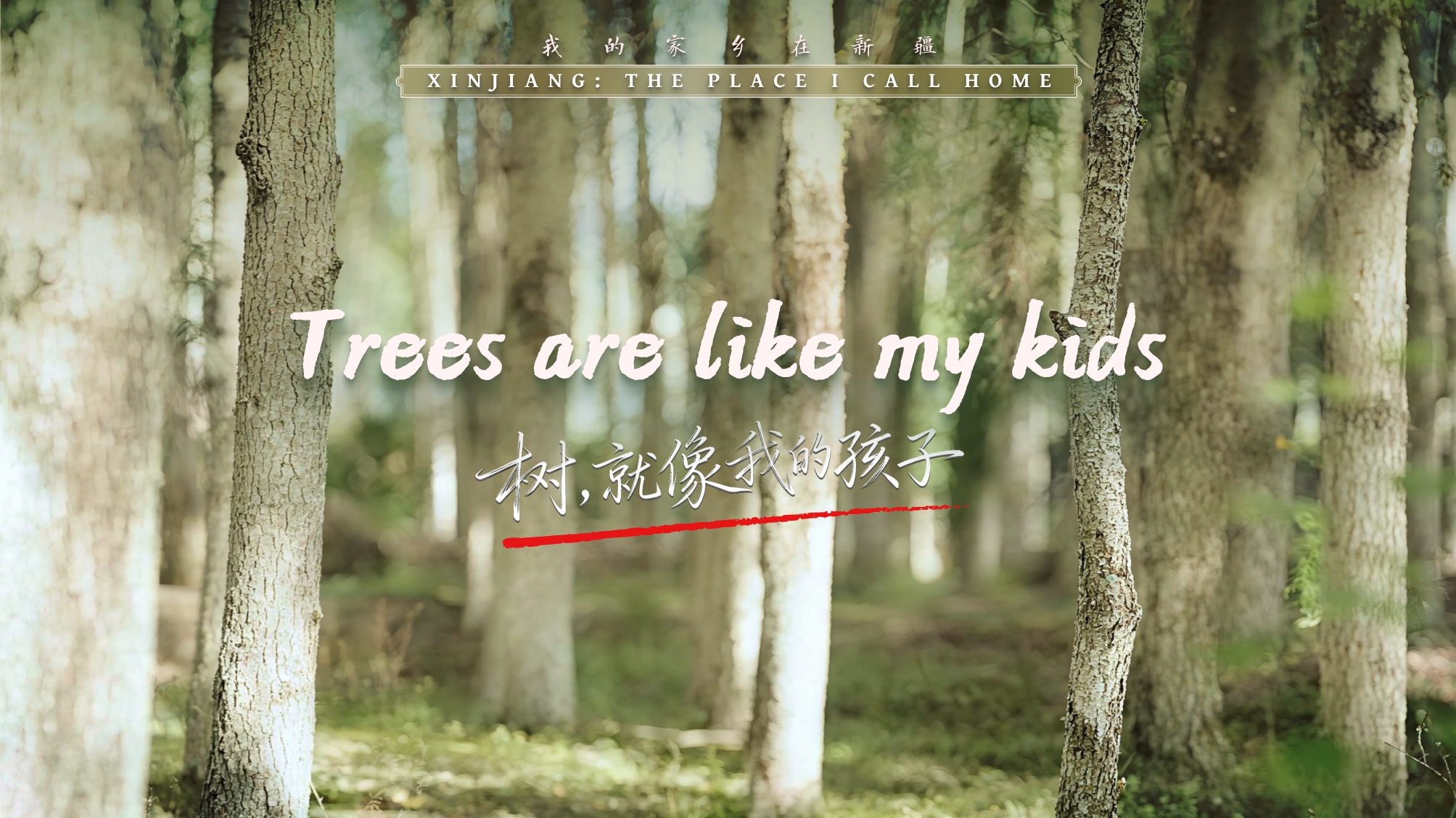 树，就像我的孩子